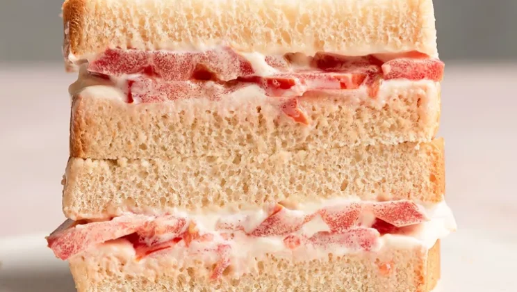 Best Southern Tomato Sandwich Recipe for Home Cooks